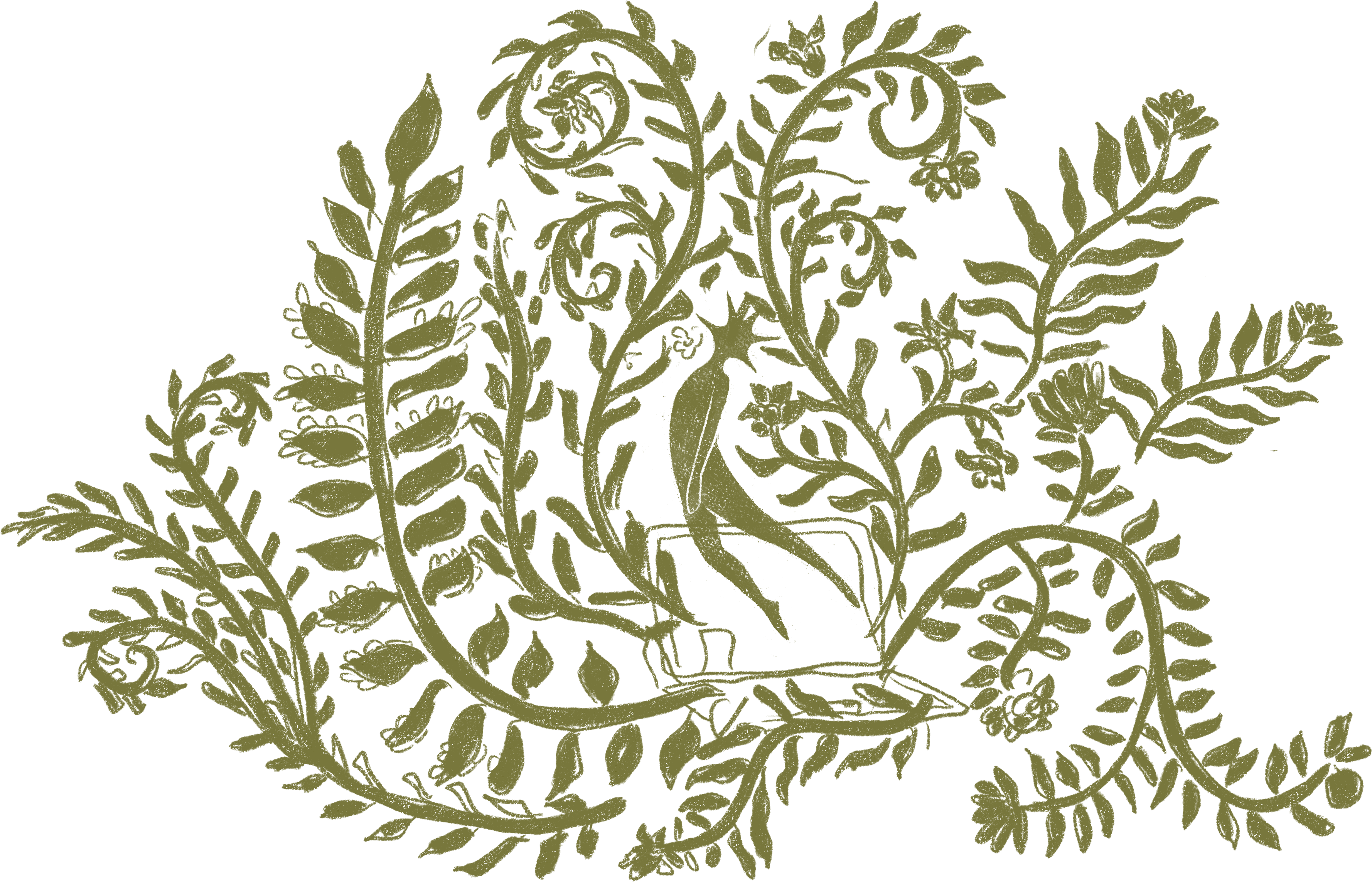 Botanical illustration